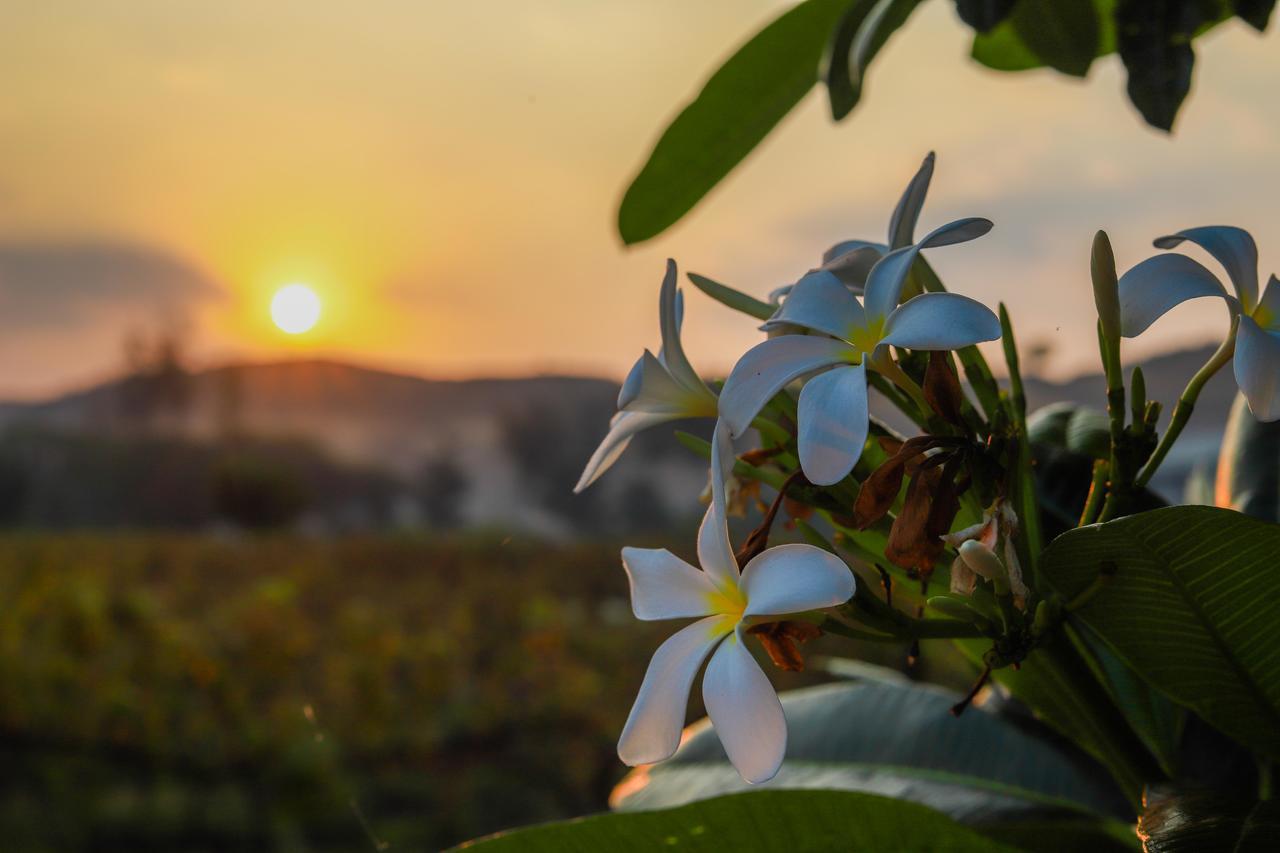 V Resorts Soma Vine Village Mahirāvani Eksteriør billede