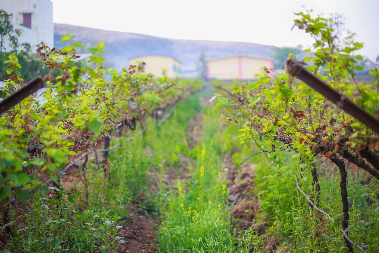 V Resorts Soma Vine Village Mahirāvani Eksteriør billede